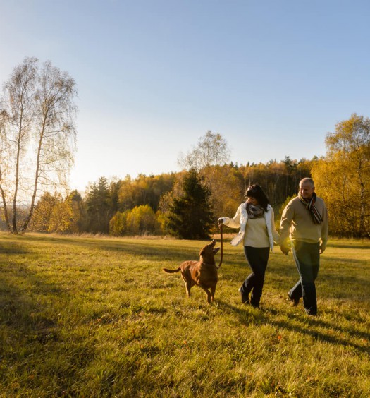 5 parchi per il tuo cane