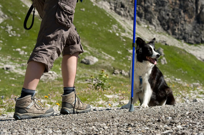 vacanza con il cane in montagna