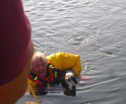 cane nel laghetto salvato dai pompieri