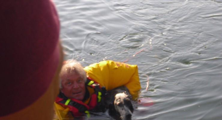 cane nel laghetto salvato dai pompieri