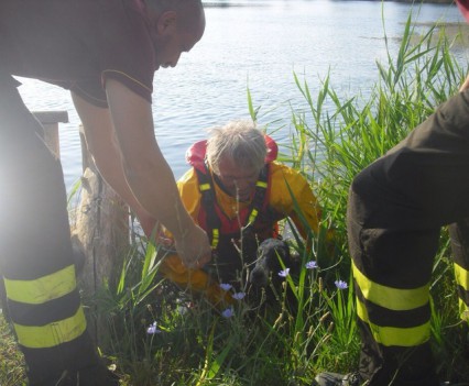 vigile del fuoco salva cane nel laghetto