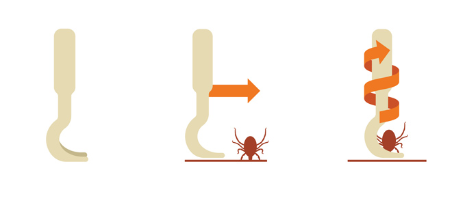 togliere una zecca con le pinzette