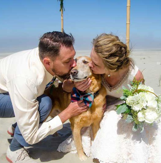 Un matrimonio speciale celebrato con il cane malato
