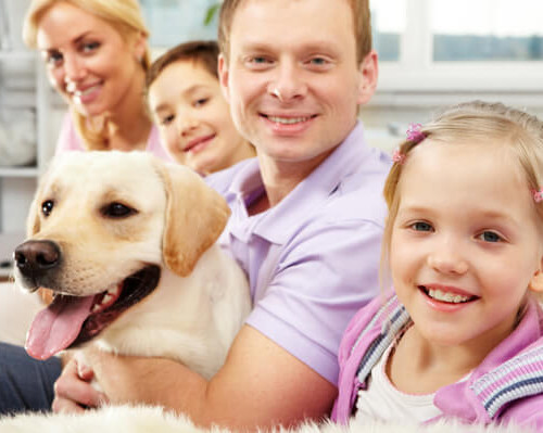 scegliere un cane in famiglia