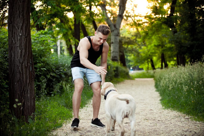 inizio del gioco con il cane
