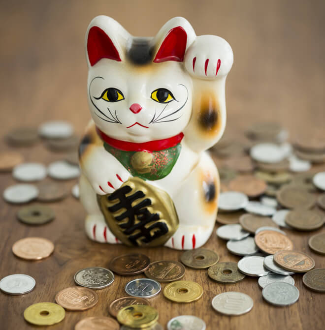 video gatti marketing