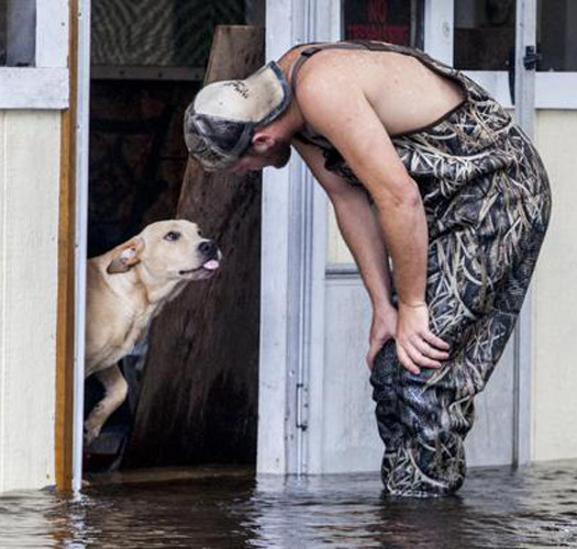 Il cane Lucky salvato da alluvione