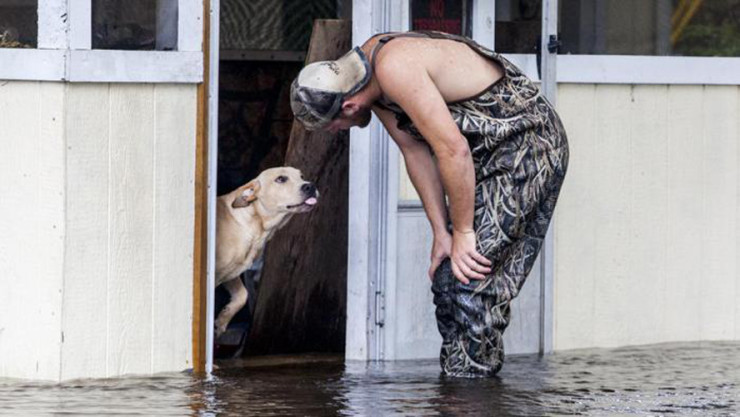Il cane Lucky salvato da alluvione