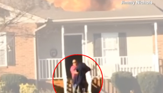 Cane tra le fiamme salvato da un pompiere fuori servizio