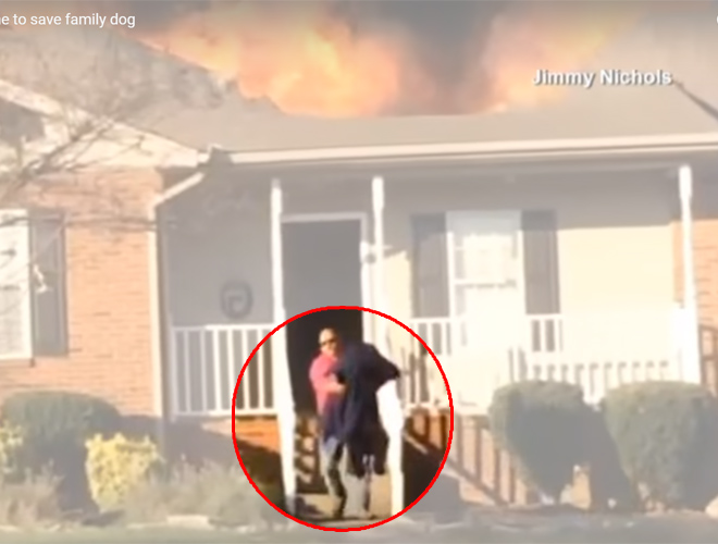 cane-salvato-da-pompiere-fuori-servizio