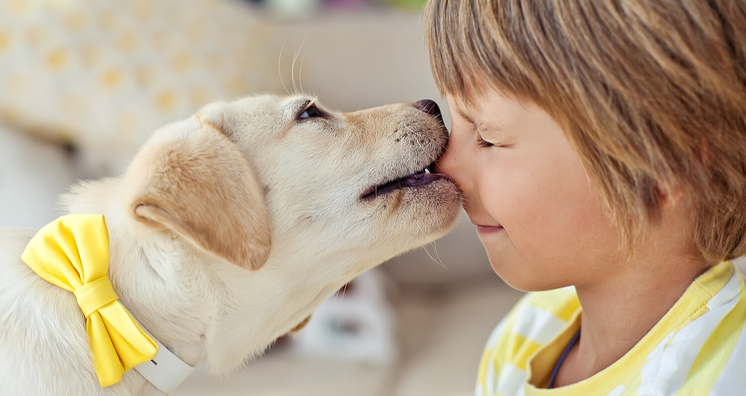 Cane lecca bambino