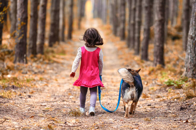 Cani e bambini passeggiata nel bosco