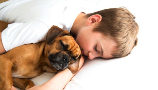 Bimbo diabetico salvato dal suo cane