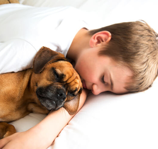 Bimbo diabetico salvato dal cane