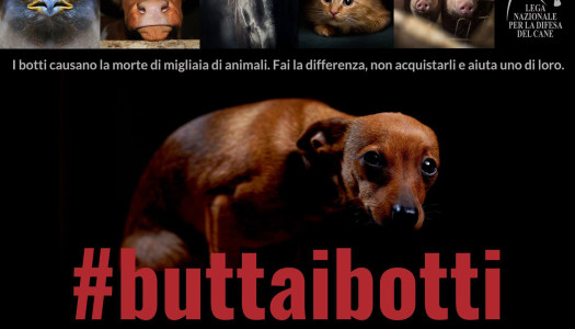 #Buttaibotti: la campagna di LNDC per un Capodanno senza botti