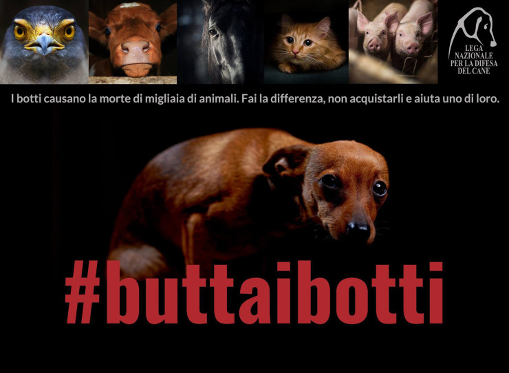 #buttaibotti cane
