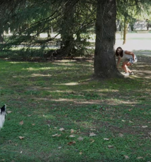 Educare il cane: la ricerca di un oggetto