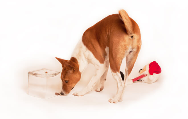 Problem solving scatola