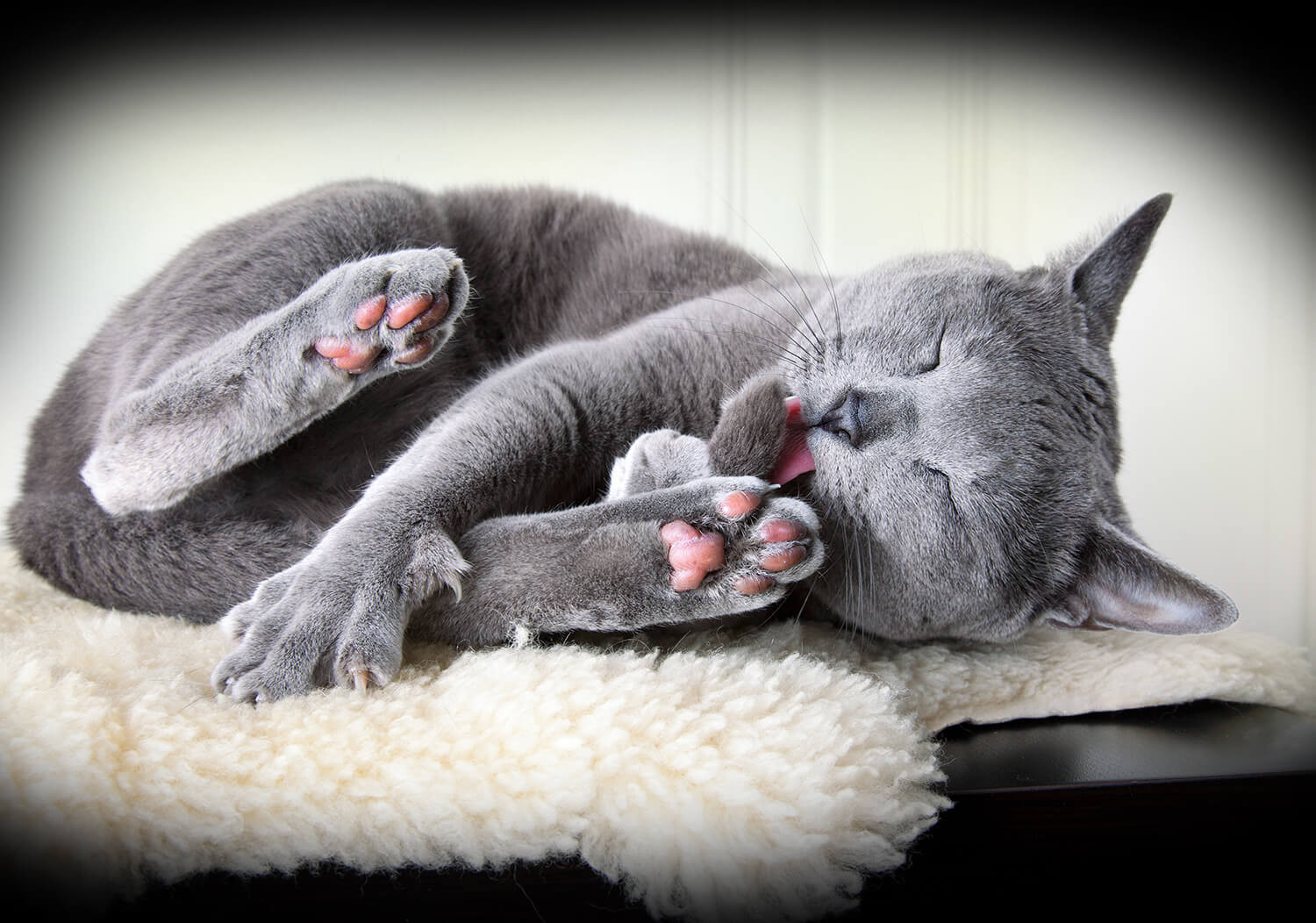 boli di pelo pericolosi