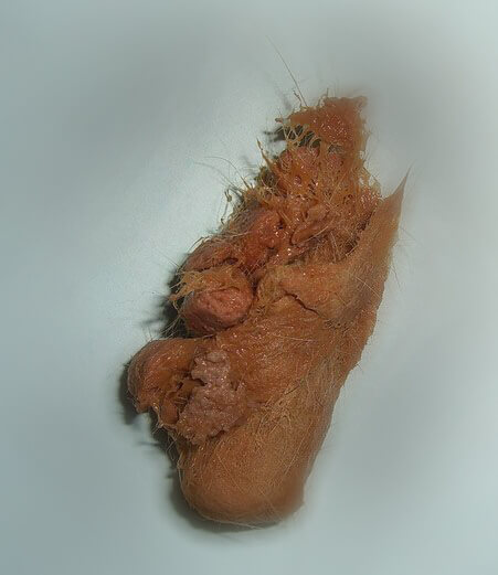 bolo di pelo tubolare