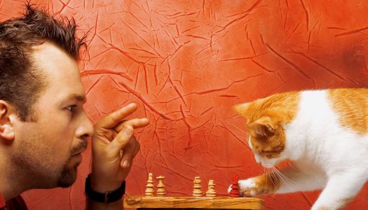 Uomo vs gatto… chi è il capobranco?
